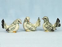 E194 Голуби серые