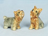 E204 Йрки серые