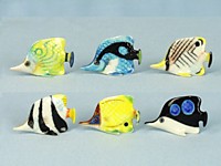 E216 Рыбки бабочки