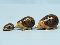 E700  Ёжики семья