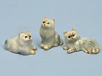 K049  Персидские кошки серые