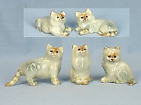 K049  Персидские кошки светло-серые