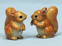 K253  Белка коричневая