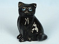 K331 Кот черныш