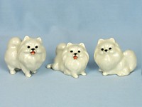 K684 Померанский шпиц белый