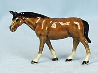 K703 Лошадь идёт