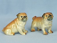 K983 Мопсы пара