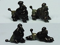 L843 Чёрный пудель