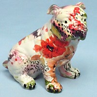 DS-05D Бульдог расписной