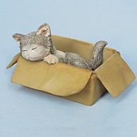 ED9809B Ктенок в коробке