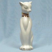V503 Кошка сфинкс