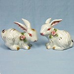 W02 Пара зайчиков
