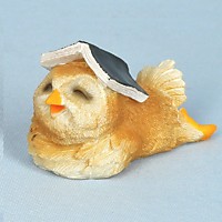 EV12873A Сова читатель