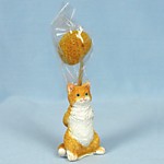 EV16959A Кот сюприз