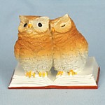 EV18193A Пара учёных сов