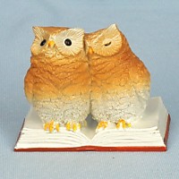 EV18193A Пара учёных сов