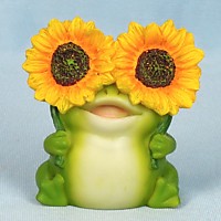 EV18362A Лягушка волшебные очки