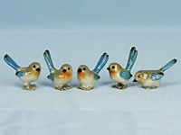 X889 Голубохвостый крапивник